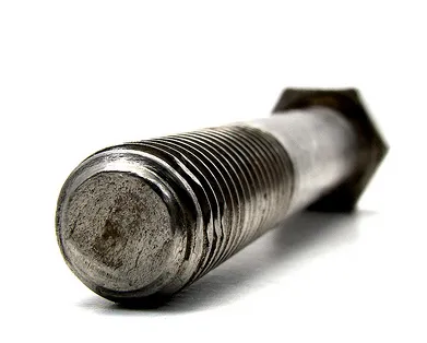 Tornillo (Foto de Bruno Ciampi)