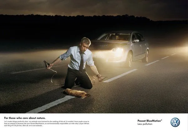 VW_Passat-BlueMotion_Rabbit